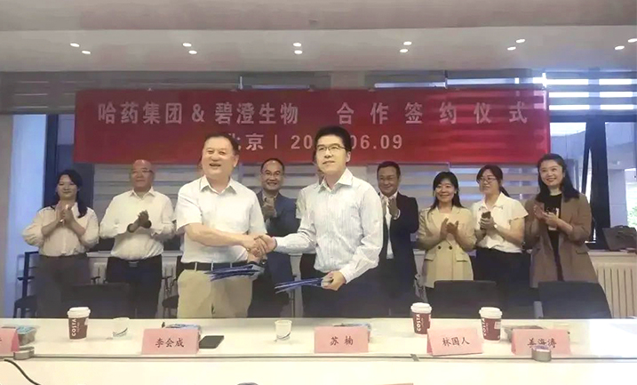 哈药携手清华大学，强强联合共创胶原蛋白行业未来